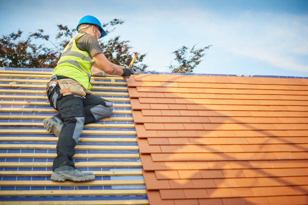 Best Skylight Installation and Repair  in Doe Valley, KY